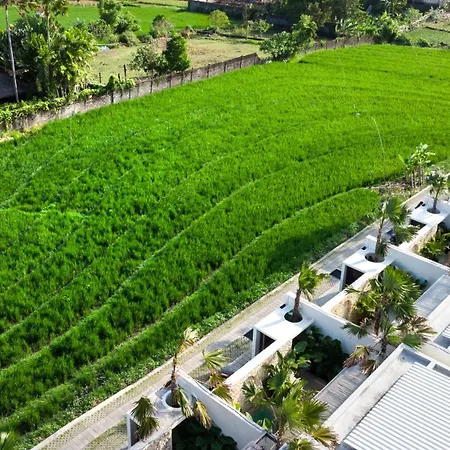 Villa Luuma 3 By Balisuperhost Seminyak  Exterior photo