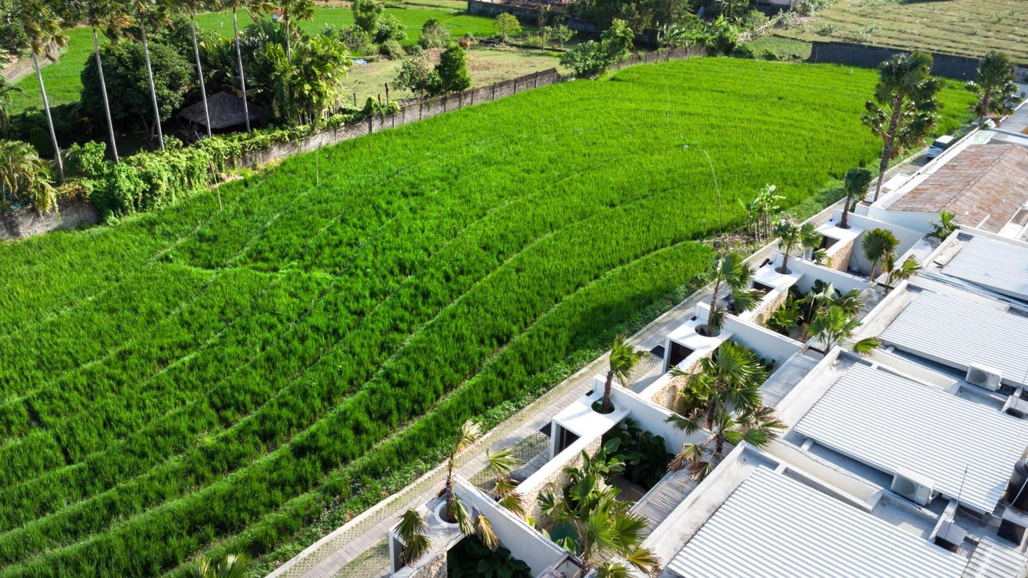 Luuma 3 By Balisuperhost * Seminyak (Bali)